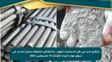 ارتفاع جديد في طن الأسمنت اليوم.. وانخفاض ملحوظ بسعر الحديد في سوق مواد البناء الثلاثاء 19 أغسطس 2025